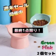 フードボウル2点セット!カラフルで可愛く大人気商品です。