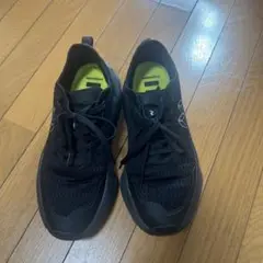 ワークマン　MANGOD トレーニングシューズ 27.0cm ブラック