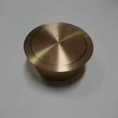 ダストシュート ゴミ投入口 アンティークゴールド 170mm
