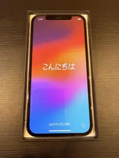 【美品】Apple iPhone12Pro 256GB SIMフリーグラファイト