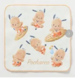 サンリオ sanrio アベイル 日焼け ポチャッコ ミニタオル