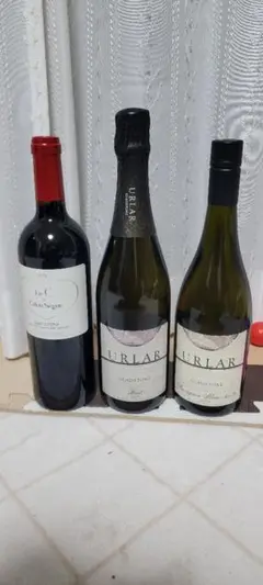 フレセドカロンセギュール2019 URLAR BRUTu0026 SAUVIGNON