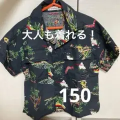 150 ブランシェス　シャツ