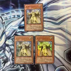 遊戯王　光帝クライス　ウルトラ　3枚