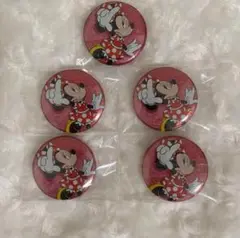 東京ディズニーリゾート ミニーマウス 缶バッジ 5個まとめ売り セット売り