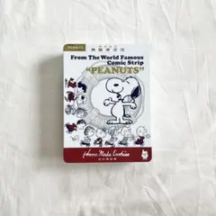 Vintage PEANUTS スヌーピータウン 泉屋 空き缶 小物入れ