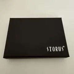 STORUS ボックス