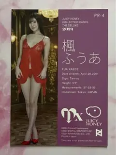2025年最新】ジューシーハニー the deluxe 2024の人気アイテム