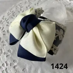 Item thumbnail for item c1078a70-256f-47f6-93a3-a972e0593021