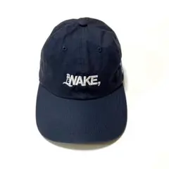 美品 wake sapporo × alwayth キャップ 在原みゆ紀