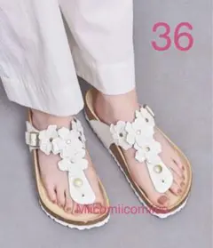 Item thumbnail for item a54003c7-2806-4922-8eda-f0ec7f06a459