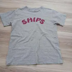 SHIPS グレー Tシャツ Mサイズ