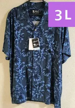 Item thumbnail for item ee61b0e6-6e84-4417-9aeb-b3e3a70f5ef6