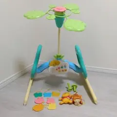 タカラトミー くまのプーさん 6WAYジムにへんしんメリー