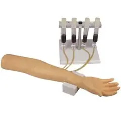 点滴　採血トレーナー用交換用皮膚