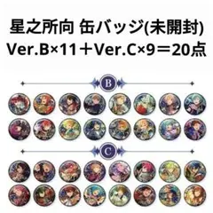 あんスタ 星の向こう星之所向 B C 缶バッジ 未開封