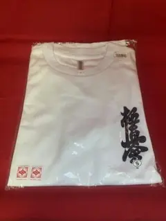 新品★極真空手ドライTシャツ（白）★Sサイズ★イサミ
