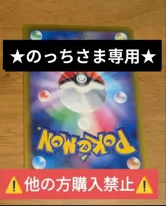 ★のっちさま専用★他の方購入禁止！