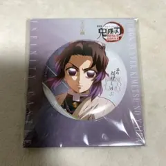 鬼滅の刃　胡蝶しのぶ　描き下ろし　飾れる缶バッジ　映画　無限城　劇場版　鬼滅ノ刃