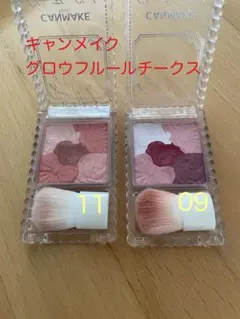 Item thumbnail for item 9b4cc934-afed-424b-a5c9-e5636de75191