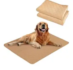 Item thumbnail for item 62180834-a952-4581-bd7b-59cb87c20850