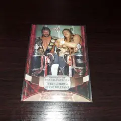 テリー・ゴーディ & スティーブ・ウィリアムス トレーディングカード