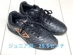 25.5cm アンブロ アクセレイターTR EX WIDE