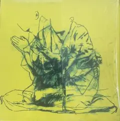 Zazen Boys すとーりーず LPレコード ZAZEN BOYS すとーりーず レコード LP レコード