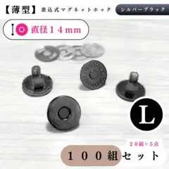 Item thumbnail for item 9694d250-e406-4fd2-81df-c57c54da249d