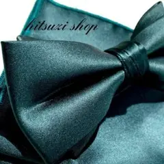 Item thumbnail for item 312439b1-300c-4fc9-89f7-426f752aca94