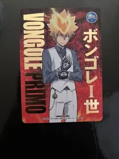 家庭教師ヒットマンREBORN CCG カード R No.003 プリーモ