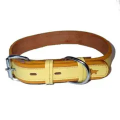 Item thumbnail for item bbad8d7f-502c-481f-8c0b-683a073752fa