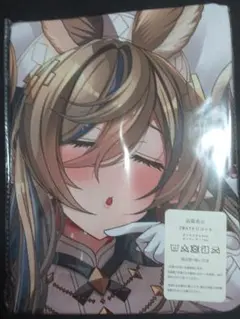【抱き枕カバー】グラブル ガレヲン ⑩-8