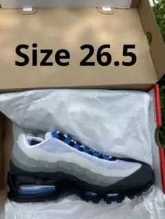 Nike Air Max 95 OG Big Bubble