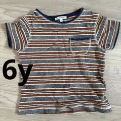 CARAMEL ストライプ Tシャツ 6Y