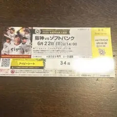 阪神チケット　6/22(土) VSDeNA ２枚 KIDSプレゼントデー】阪神タイガースチケット 6月21日(土)VS