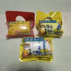 ☆ポケットモンスター　ペットボトルカバー　3個セット☆