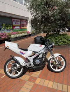 BRD レーシング チャンバー NSR NS50F NS-1 BRDチャンバー NS-1 NSR NS50F （ホンダ NSR50 BRDチャンバー
