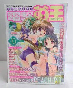 電撃萌王Vol.10 2004年8月号