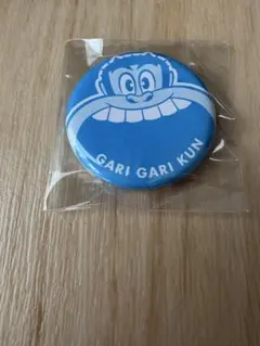 ガリガリ君マグネット