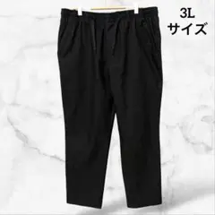 【クロッシー】カジュアルパンツ ウエストゴム 無地(3L)大きいサイズ 薄手 下