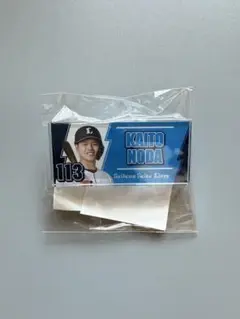 埼玉西武ライオンズ 野田海人 アクリルバッジ 全選手ネーム