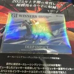 ホースレーシングトレーディングカード ディープインパクト シリアルナンバー2