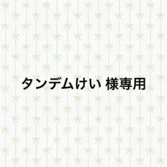 タンデムけい様 リクエスト 4点 まとめ商品