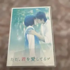 ただ、君を愛してる DVD