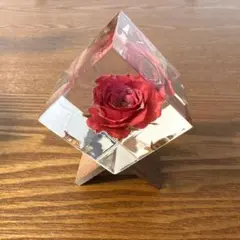 ソラキューブ　薔薇　ウサギノネドコ