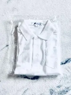 Item thumbnail for item af32040b-9c51-4a9f-a85b-2b20f02e1837