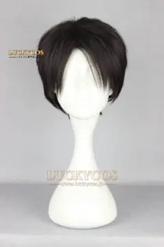 ✥リヴァイ ウィッグ✥セット済 進撃の巨人 ✥リヴァイ ウィッグ✥セット済 進撃の巨人 - メルカリ