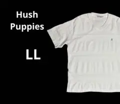 Hush Puppies Tシャツ　半袖