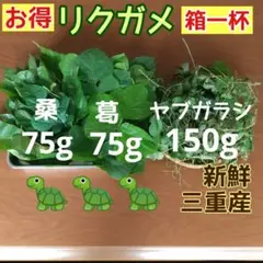 Item thumbnail for item df7a0b14-deff-43c2-b224-bc91165ca454